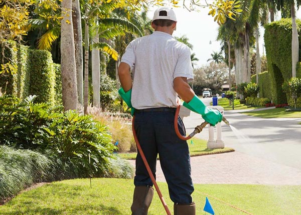 About Durham ME Pest Control Pros